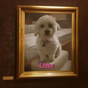 Meet your Posher, Michele